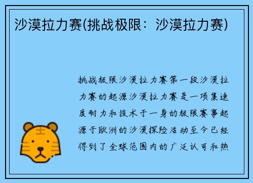 沙漠拉力赛(挑战极限：沙漠拉力赛)